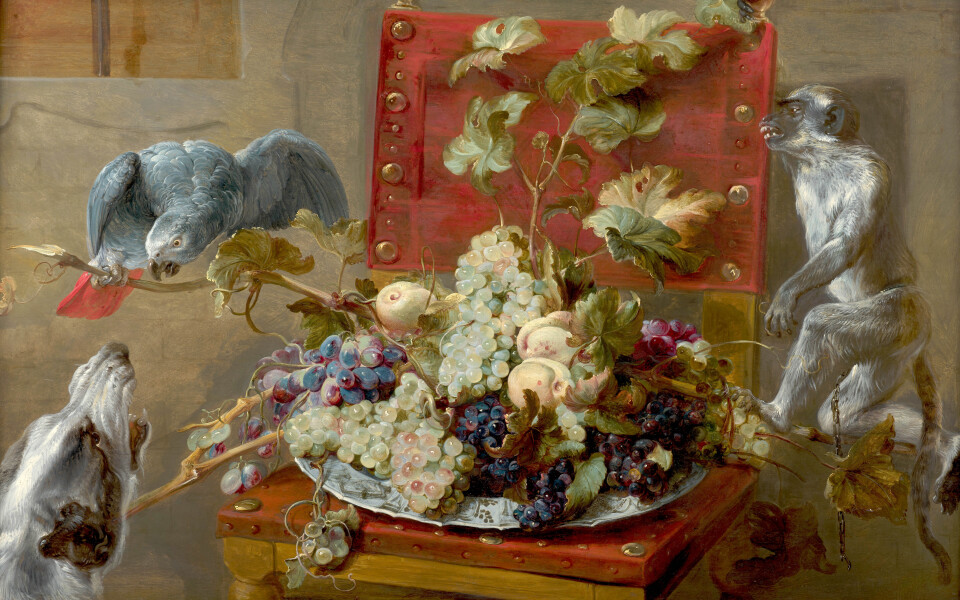  "Plat de fruits sur une chaise entourée d’un perroquet, d’un singe et d’un chien", de Frans Snyders (1579-1657), huile sur panneau de chêne parqueté exécutée vers 1640. 