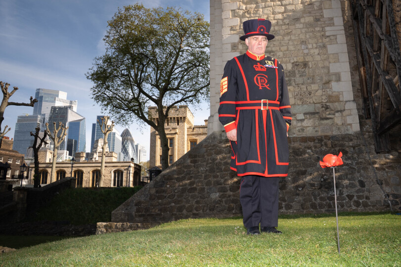 Un premier coquelicot est installé par le Chief Yeoman Warder, Rob Fuller à la Tour de Londres, où des centaines seront installés pour marquer le 80e anniversaire du VE day le 8 mai 2025.